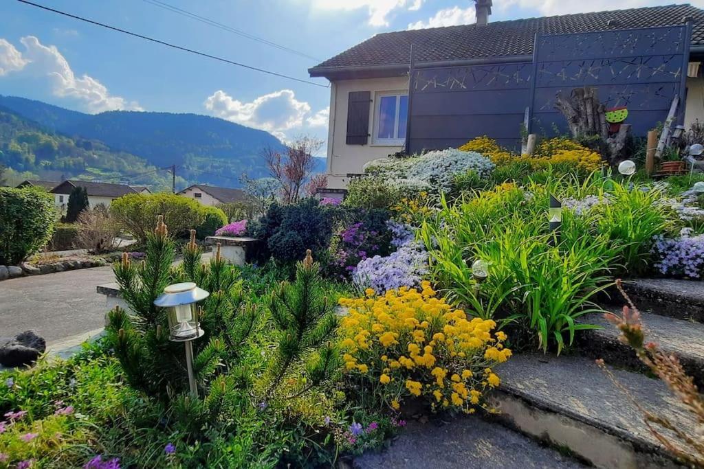 Plain-Pied Proche Base De Loisirs Et Voie Verte Saulxures-sur-Moselotte Exterior foto