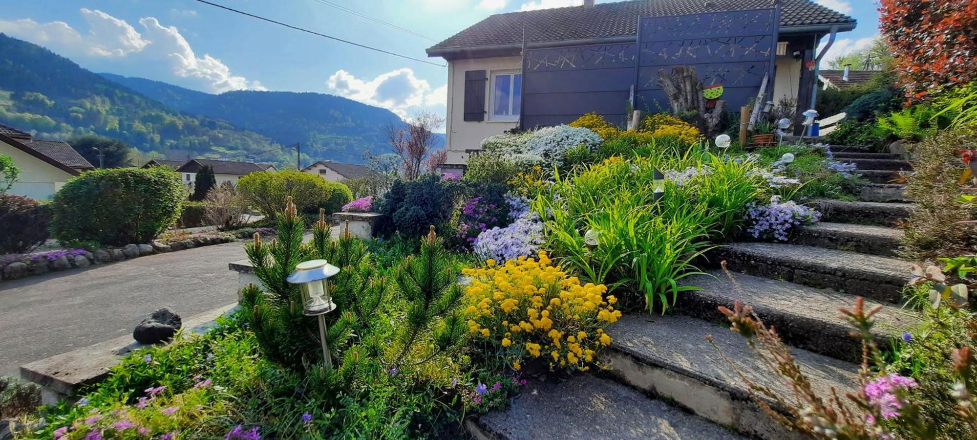 Plain-Pied Proche Base De Loisirs Et Voie Verte Saulxures-sur-Moselotte Exterior foto