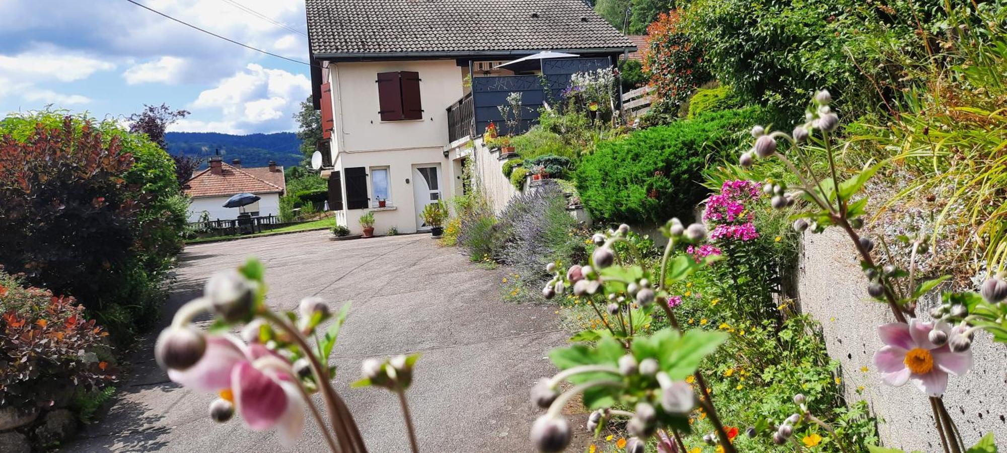 Plain-Pied Proche Base De Loisirs Et Voie Verte Saulxures-sur-Moselotte Exterior foto